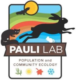 Pauli Lab graphic